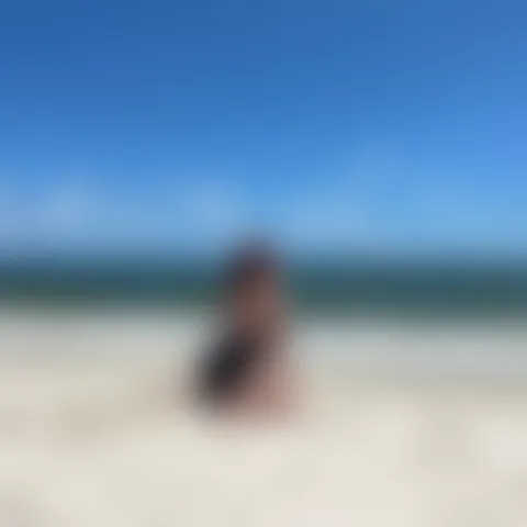 G***********k