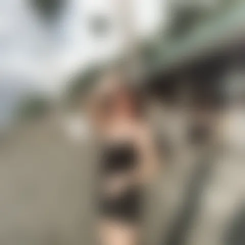 B******l