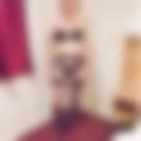 C***********m