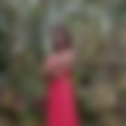V**i