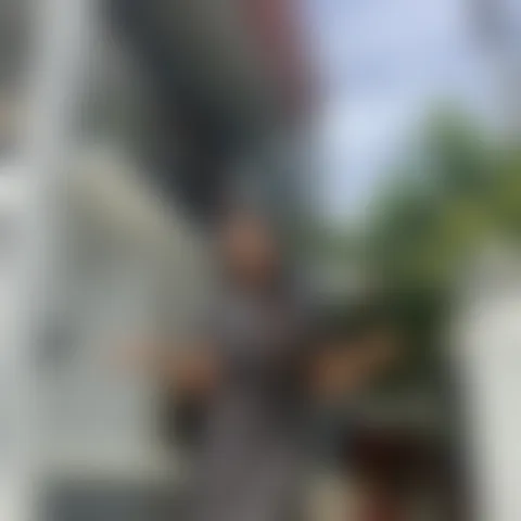 J*****s