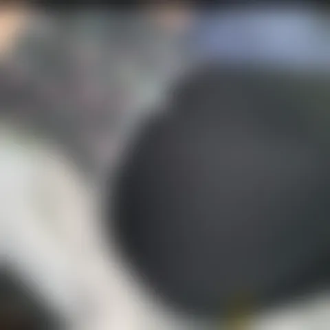 M***y