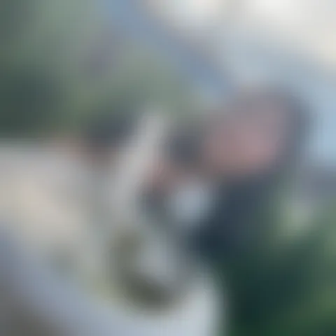 L*a