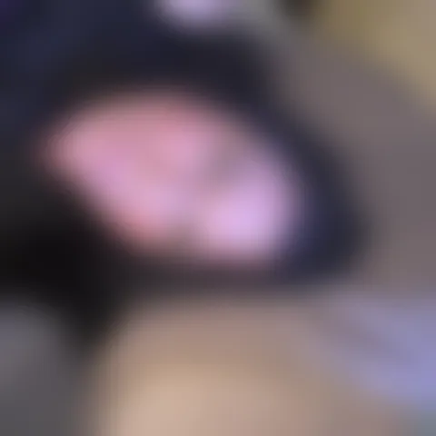 O******n