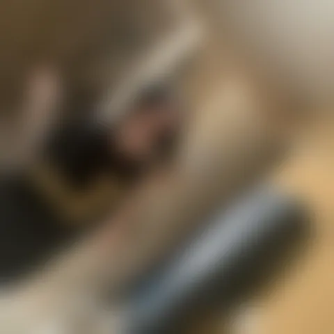 I******t