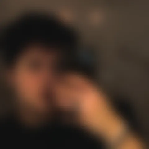 P*************a
