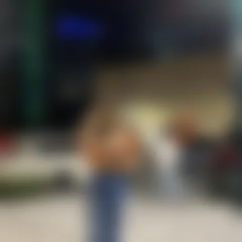 V***a