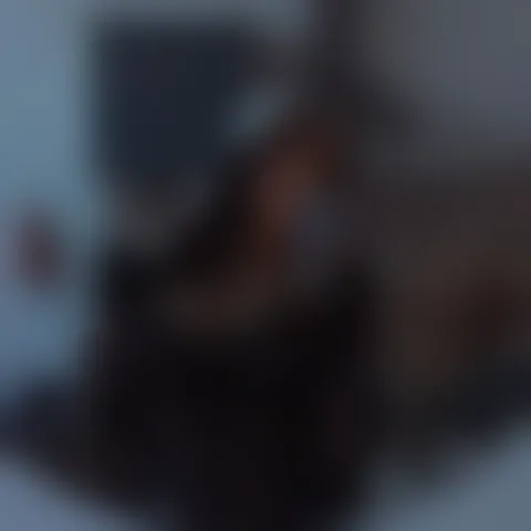 S********e