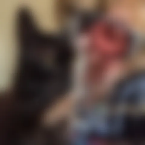 G**********a