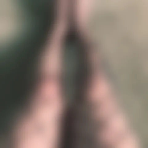M********a