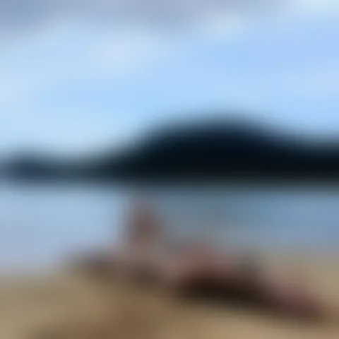 M***h