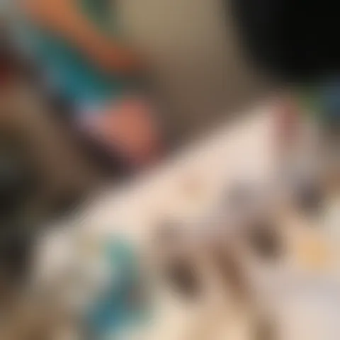 V******e