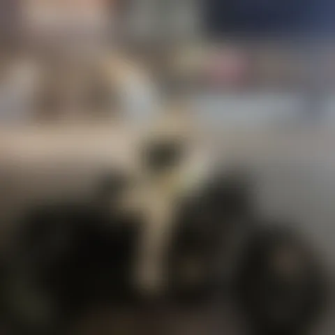 A******e