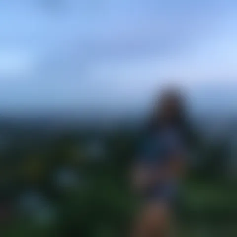 N*************y