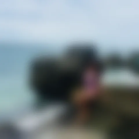 V***********n