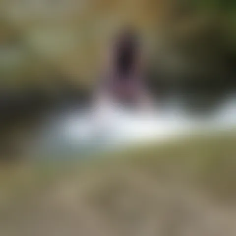 T********h