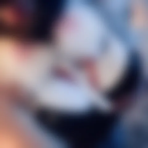 P*******y