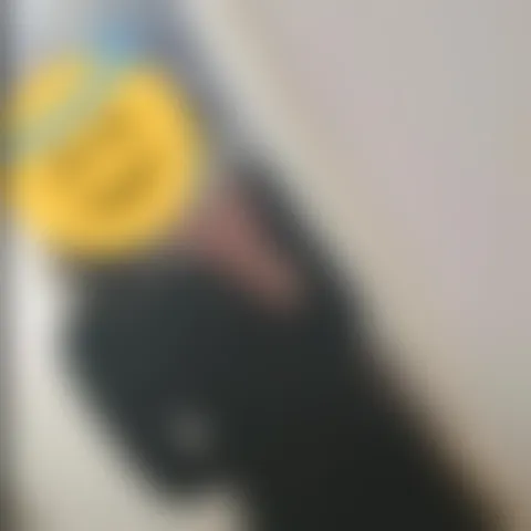 M******t