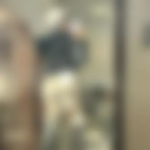 T********l