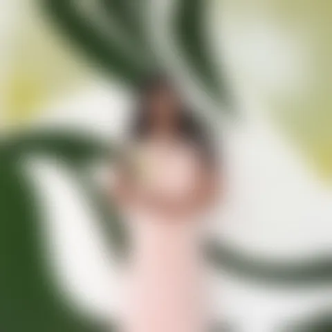 Y********a
