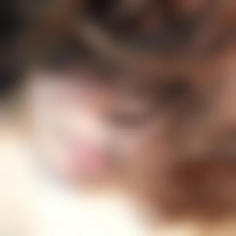 N*******e