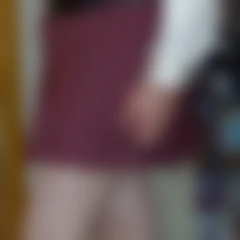 N******l