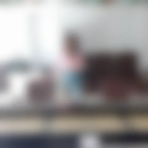 T*********n