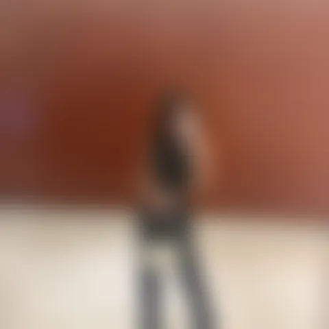 A*********s
