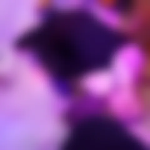 J****a