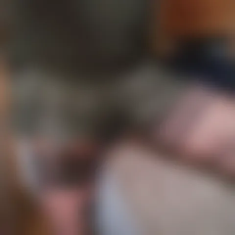 T*****n