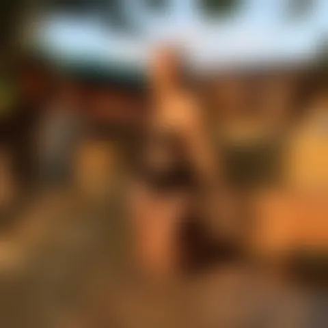 L******i