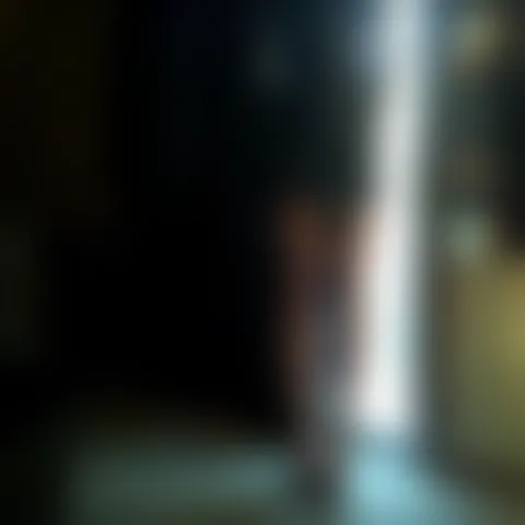 J**e
