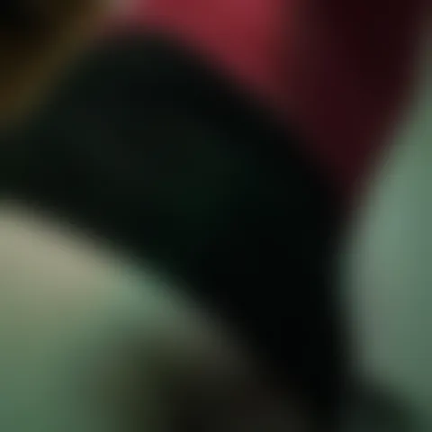P************g