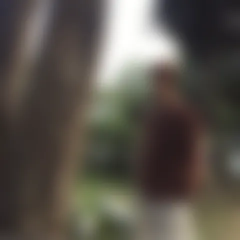 A*****a