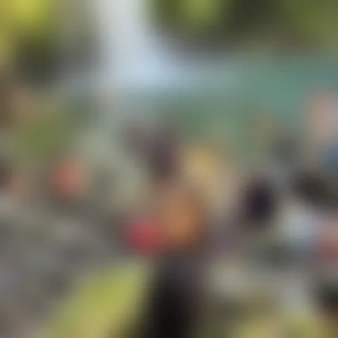 D******t