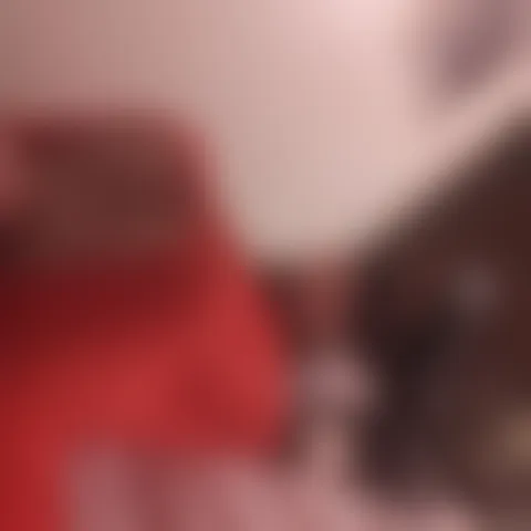 C********s