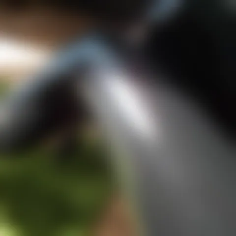 M*************y