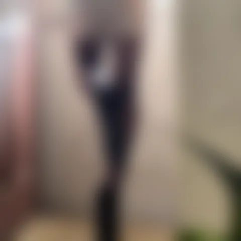 S***********l