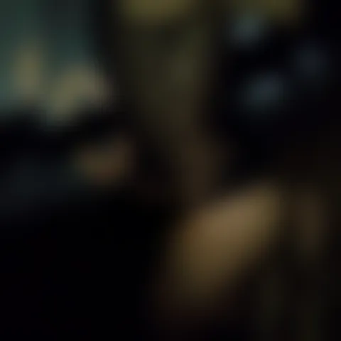 T*********a