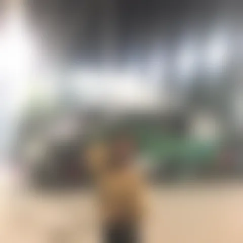 N******y