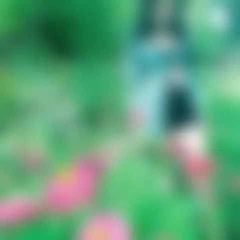 L***********n