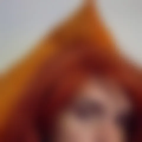 R********t
