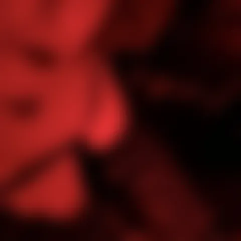 M***********y