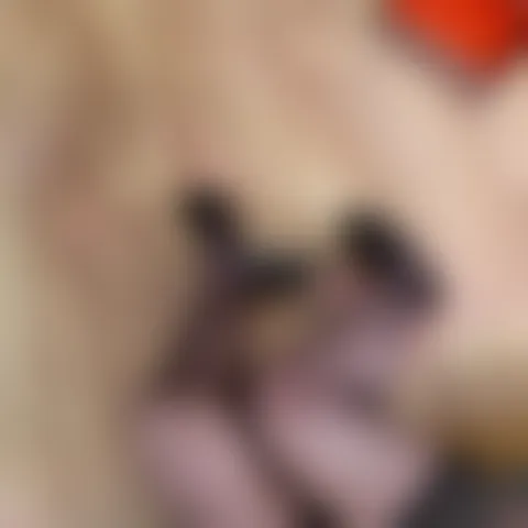 S**a