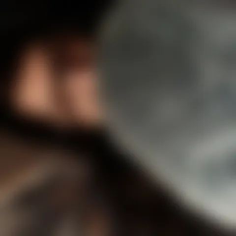 M****r