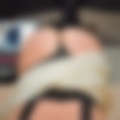 H******e