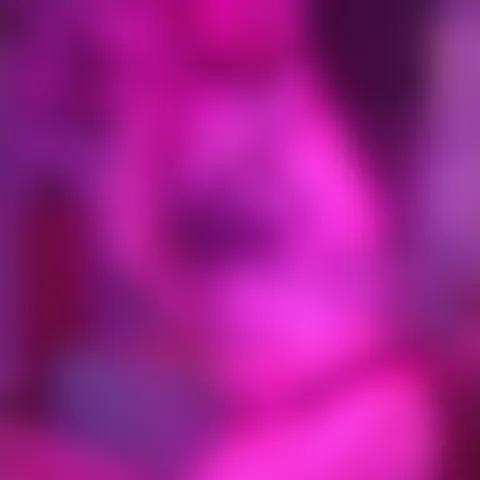T*************e