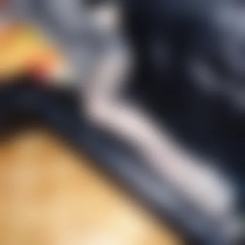 M*****o