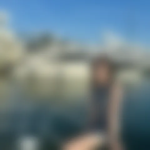 D****************t
