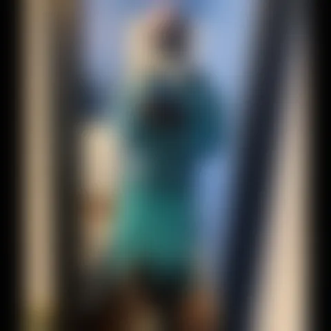 A**************y